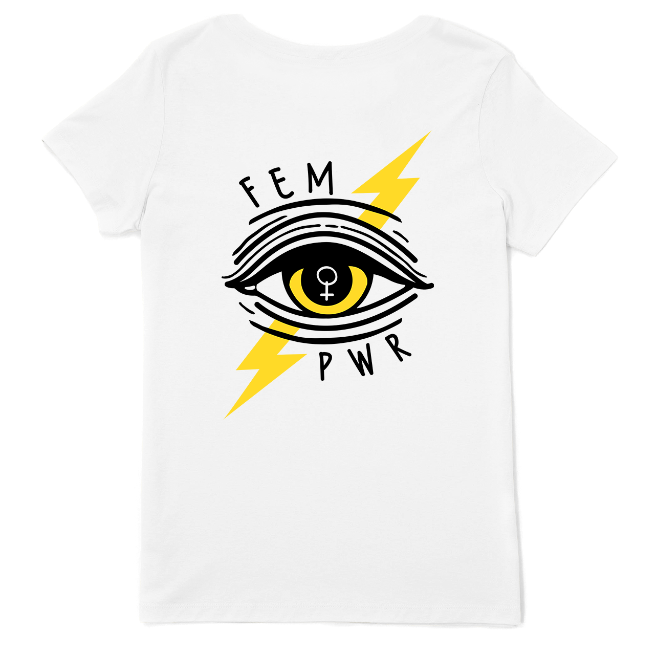 FEM PWR