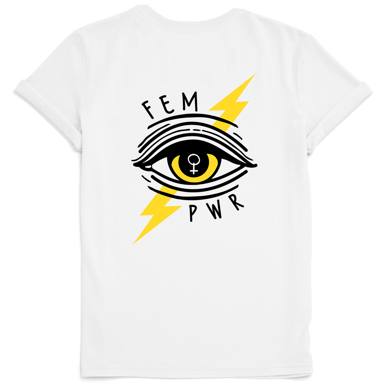 FEM PWR